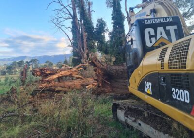 REM Vegetation Management