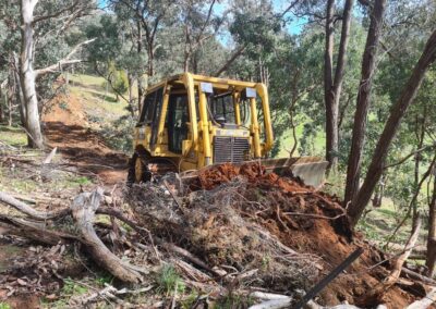 REM Vegetation Management
