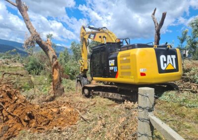 REM Vegetation Management